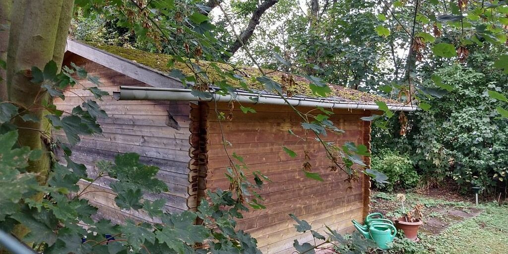 Bild Garten 4_Copyright_VHS.jpg