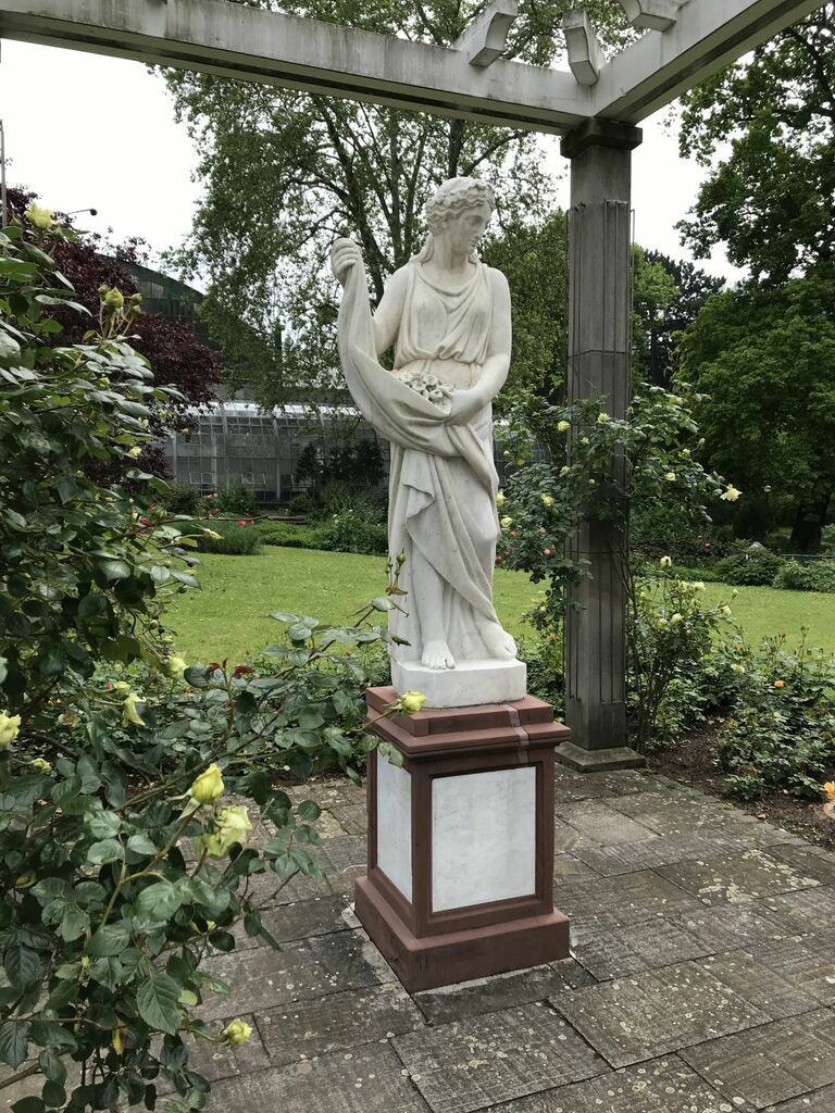 Patenpalme1512_jk (2).JPG