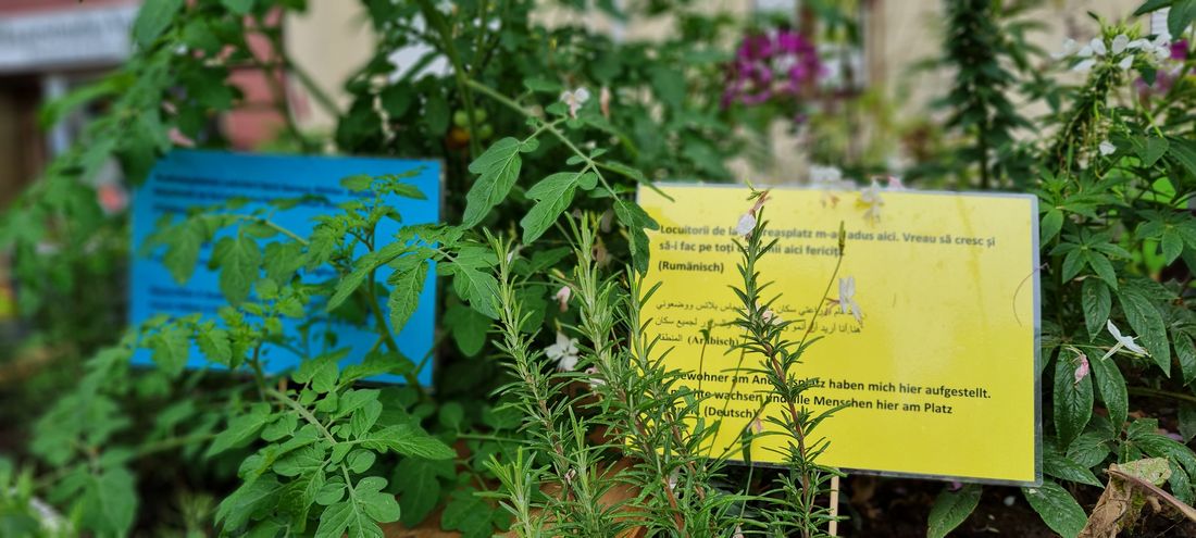 projektstadttonne az2